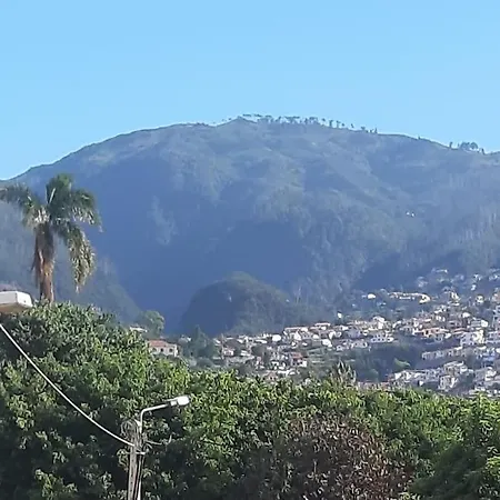 Apartamento Apart. Inteiro Cheio De Luz, Tao Perto Do Centro Funchal (Madeira)